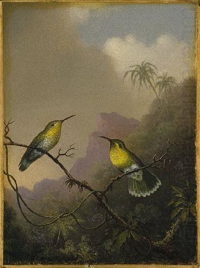 Two Humming Birds, Martin Johnson Heade